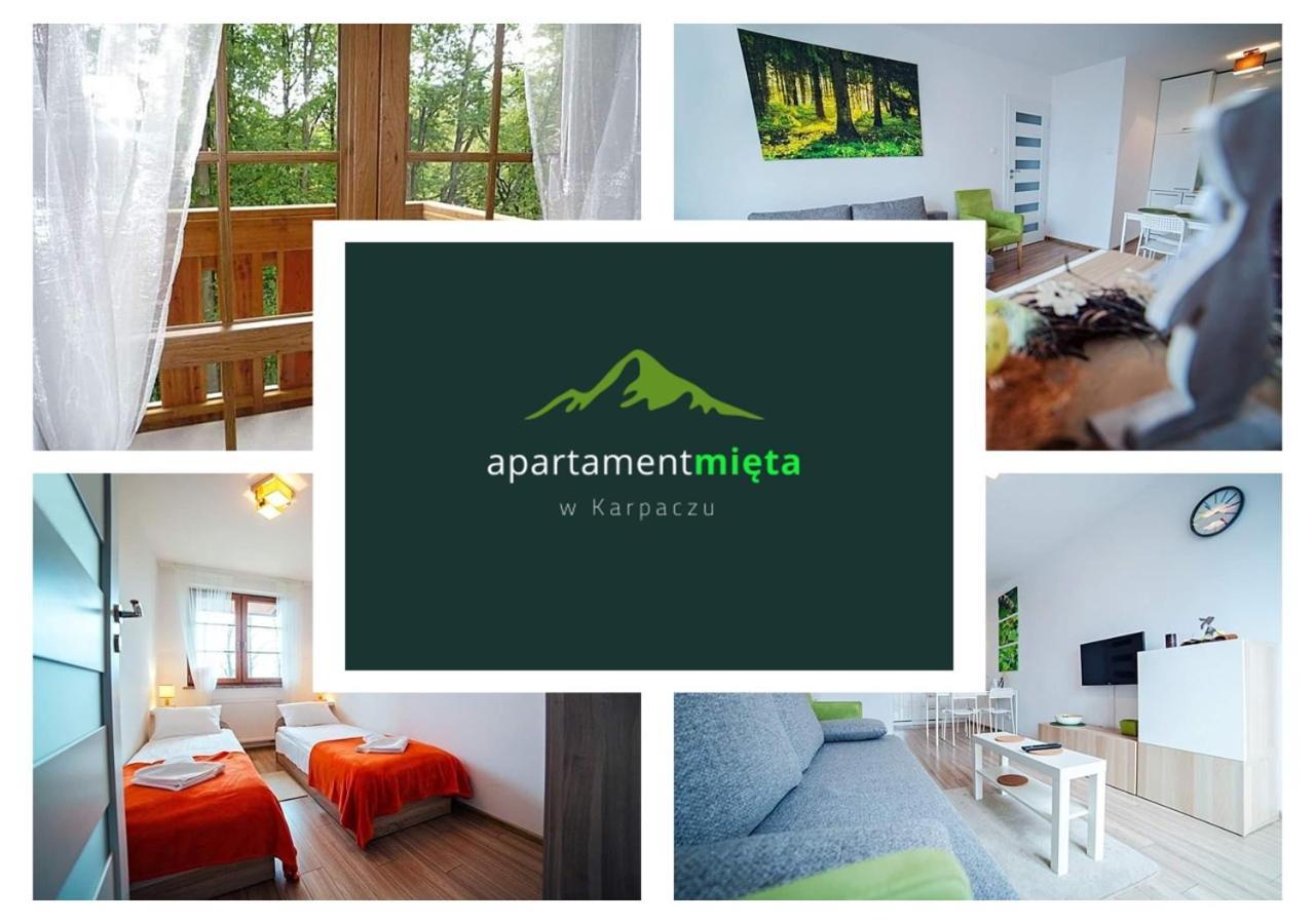 Apartament Mieta Karpacz Bagian luar foto